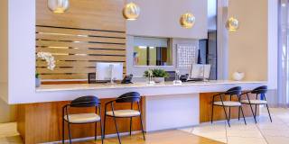 Berkshire Coral Gables Gallery 42