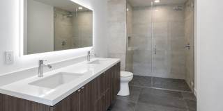 LP1 Research - #1188 LP1 Research - #1188 Gallery 1