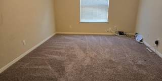 2738 Cinnamon Teal Gallery 14