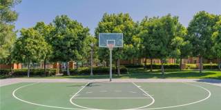 56 Scarlet Bloom Gallery 21