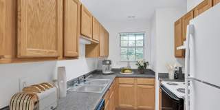 Spark Culpeper Gallery 2