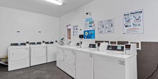 Dronfield Astoria Gallery 15