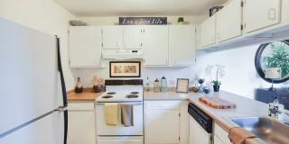 Chestnut Creek Gallery 8