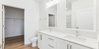 Mosby at Avalon Park Gallery 10