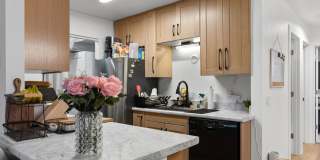 Honey Lane Gallery 8