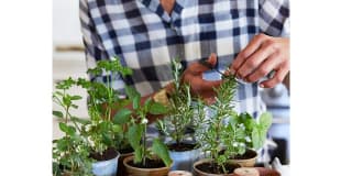 Overture Barrett Age 55+ Apartment Homes Gallery 15