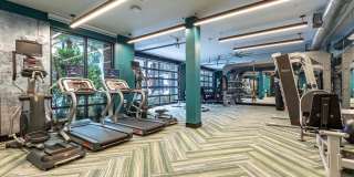 Jade at North Hyde Park Gallery 7