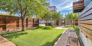 Zang Triangle Gallery 24
