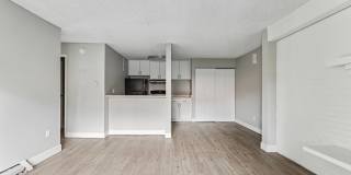 Park at Palmer Gallery 56