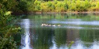 Echo Ridge at Suwanee Apartments Gallery 18