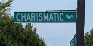 13784 CHARISMATIC Way Gallery 47