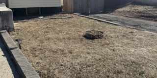 284 Seymour Ave Gallery 8