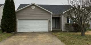 344 Paddle Wheel Street Gallery 1