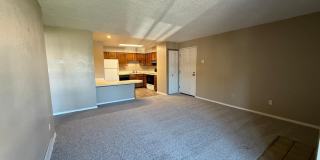 1238 Firefly Circle Gallery 4