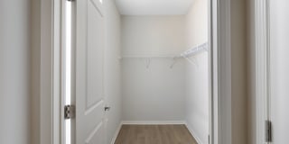 Newtown Woods Gallery 54