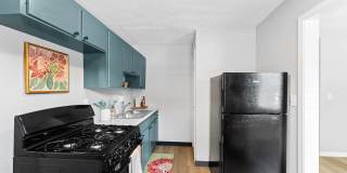 The View on Vivion Gallery 13