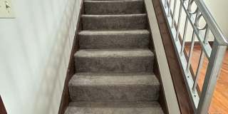 The Lodge Gallery 29