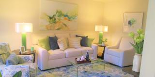 Forest Glen Gallery 4
