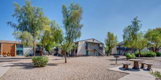 Aventerra at Dobson Ranch Gallery 47