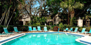 401 PALM TREE Drive Gallery 40