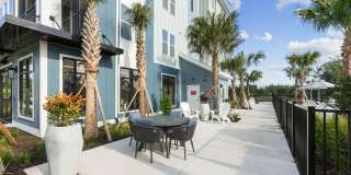 Mosby at Avalon Park Gallery 18