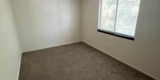 3 Bed 2 Bath Updated Unit in Robinwood Gallery 16