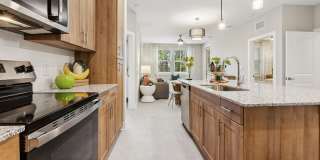 Eastshore Palm Bay Gallery 3