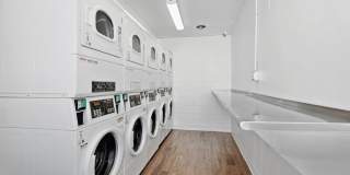 ReNew Biltmore Gallery 30