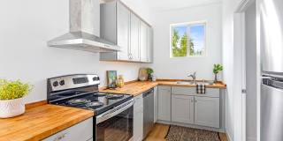 2013 Salam Loop Gallery 1