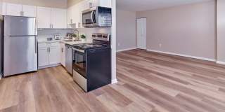 Village Square Gallery 2