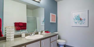 Village at Cascade Park Apartments Village at Cascade Park Apartments Gallery 10