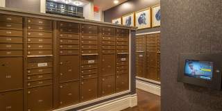 Pearl Rosemont Gallery 19