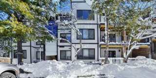 1491 John Street 10 Gallery 1