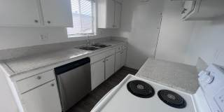 Palmwood Gardens Gallery 12