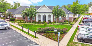 TGM Bull Run Gallery 45