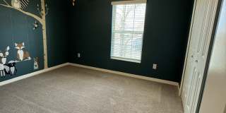 13009 Majestic Garden Lane Gallery 17