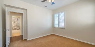 56 Scarlet Bloom Gallery 15