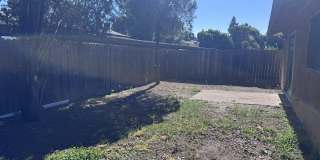 1138 Forestwood Dr 1138 Forestwood Dr Gallery 16