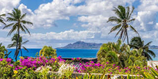 Exquisite haven in prestigious Portlock! AC, Ocean Views, Pool, Hale Ola Gallery 55