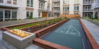 Alexan Main Street Gallery 63