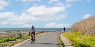 The Triton Gallery 22