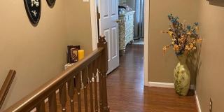 5220 WINDING STAR Circle Gallery 8