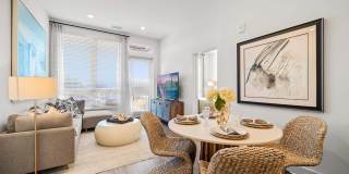 Windsor Winchester Windsor Winchester Gallery 15