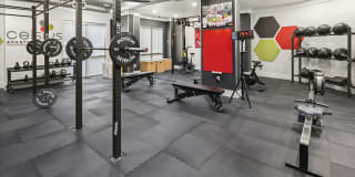 Celsius Apartment Homes Celsius Apartment Homes Gallery 26