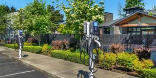 Maplewood Park Gallery 21