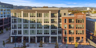 The Emery Gallery 37