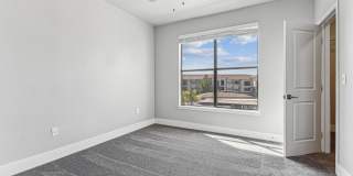 Lyra Gallery 8