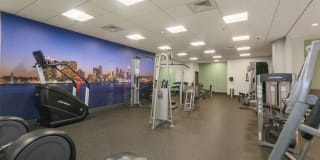 The Victor Gallery 3