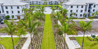 Edera Palm Springs Gallery 11