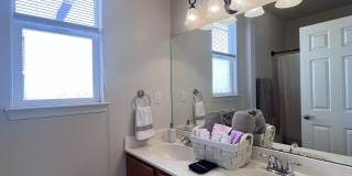 41 Willow Trace Court Gallery 16